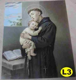 L3 SAN ANTONIO PADUA LAM